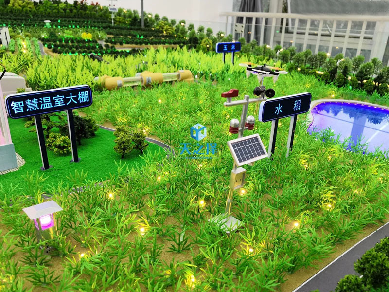 �r�I(y��)ģ�����r�I(y��)�Nֲɳ�P(p��n)ģ��